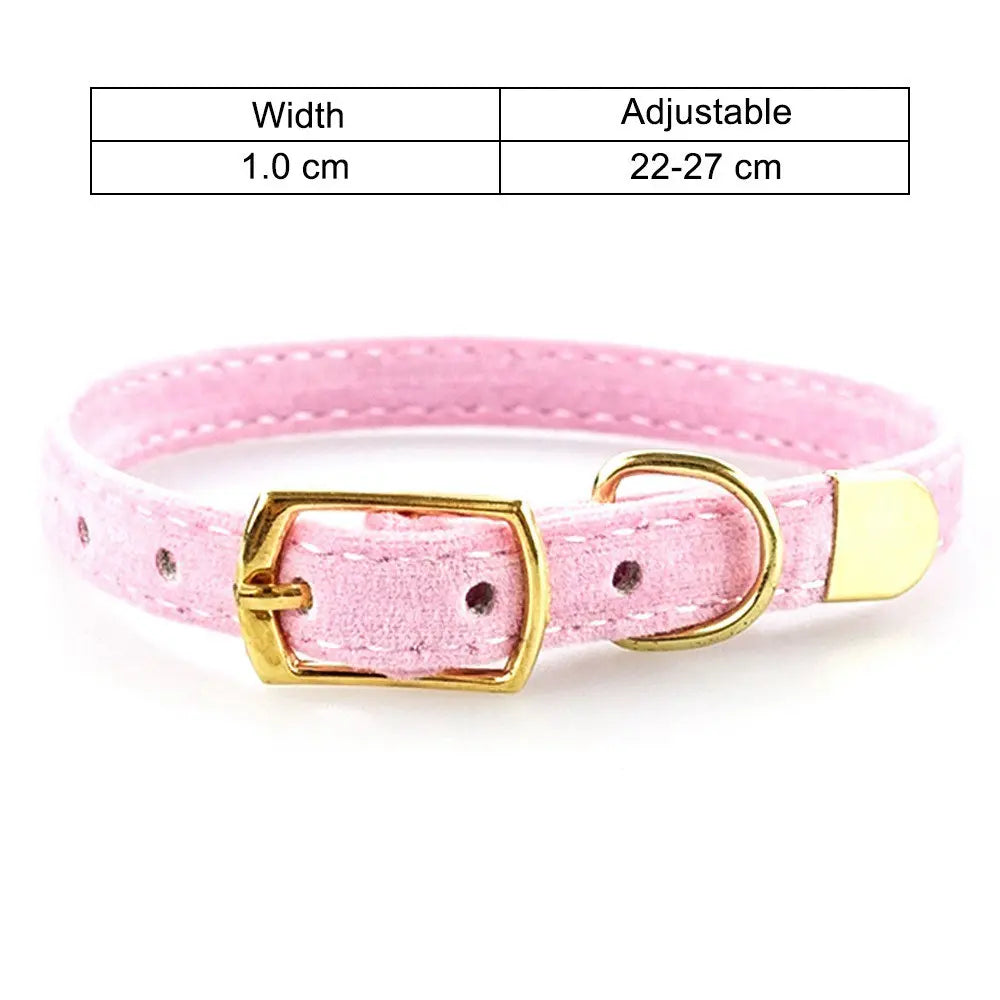 Cat Collar My Store
