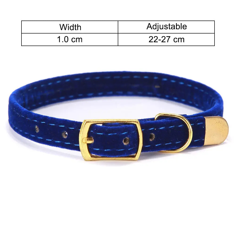 Cat Collar My Store
