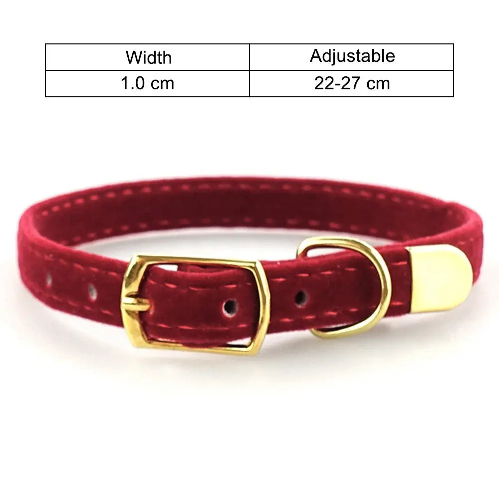 Cat Collar My Store