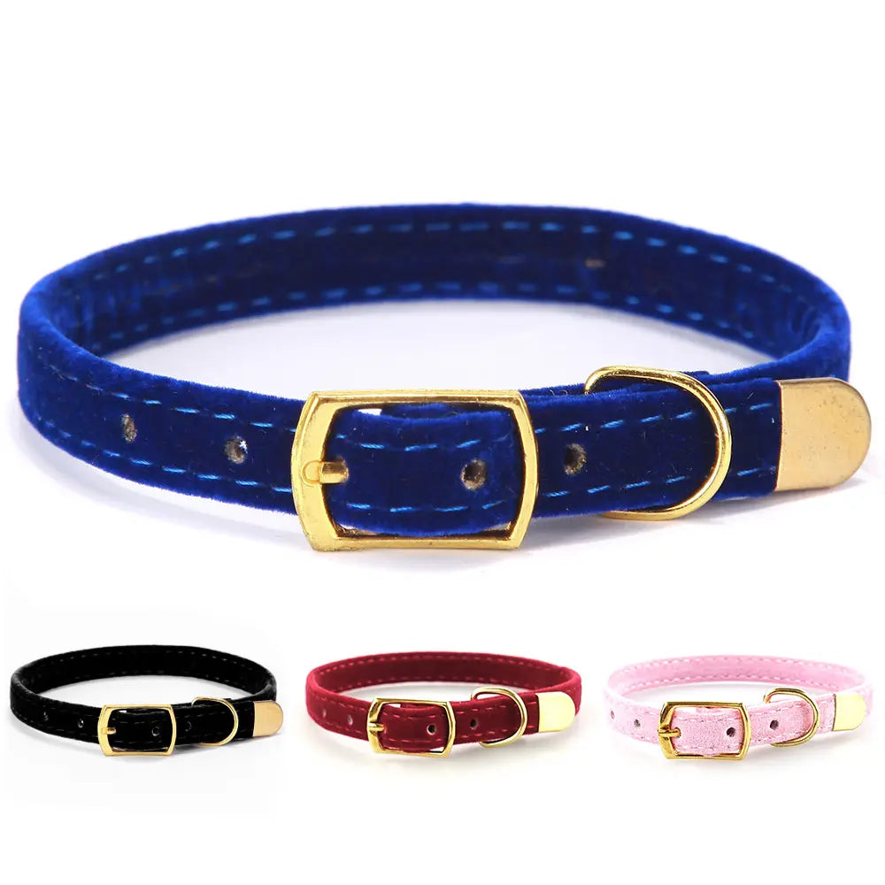 Cat Collar My Store