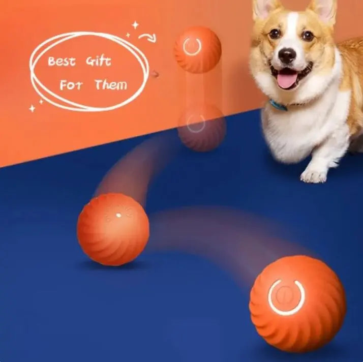 Self Jumping Dog Rubber Ball Toy My Store